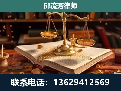 广南-刑事案件